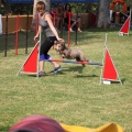 Prueba de agility