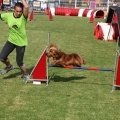 Prueba de agility