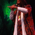 Castellón, Rototom Sunsplash, Benicàssim 2014