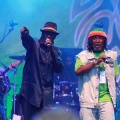 Castellón, Rototom Sunsplash, Benicàssim 2014