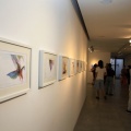 Carmen Ibarra Viguer