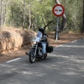 Ruta Biker Big Twin