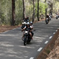 Ruta Biker Big Twin