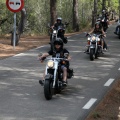 Ruta Biker Big Twin