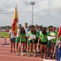 Castellón, deportes 2014
