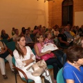 Castellón, 2014