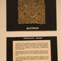 Castellón, exposiciones 2014