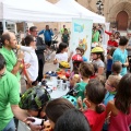 Rutas Cicloturísticas de Castellón