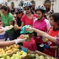 Rutas Cicloturísticas de Castellón
