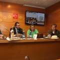 Castellón, Benasal, 2014