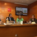 Castellón, Benasal, 2014