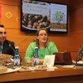 Castellón, Benasal, 2014