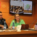 Castellón, Benasal, 2014