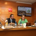Castellón, Benasal, 2014