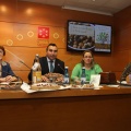 Castellón, Benasal, 2014