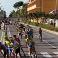II Roller Maratón