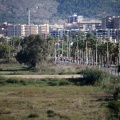 II Roller Maratón