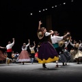 Gran gala del folklore aragonés