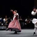 Gran gala del folklore aragonés