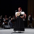 Gran gala del folklore aragonés