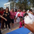 Marcha contra el cáncer de mama