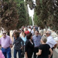 Festividad de Todos los Santos