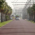 TRAM