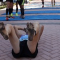 V Maratón Internacional Ciudad de Castellón