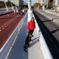 V Maratón Internacional Ciudad de Castellón