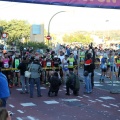 V Maratón Internacional Ciudad de Castellón