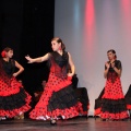 Asociación Gitana