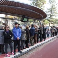 Castellón, TRAM 2014