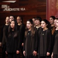 Castellón, Benicàssim Cultura
