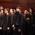 Castellón, Benicàssim Cultura