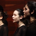 Castellón, Benicàssim Cultura