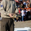 Castellón, 2014
