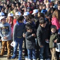 Castellón, 2014