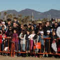 Castellón, 2014