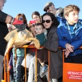 Castellón, 2014