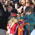 Castellón, 2014