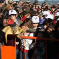 Castellón, 2014