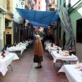 Fiestas de la Asociación Cultural Sant Roc de Vora Sèquia