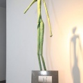 Sonia Cardunets, esculturas