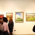 Castellón, exposiciones 2015