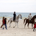 Carrera de caballos y burros