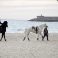 Carrera de caballos y burros