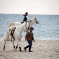 Carrera de caballos y burros