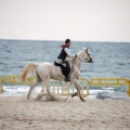 Carrera de caballos y burros