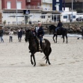 Carrera de caballos y burros