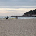 Carrera de caballos y burros